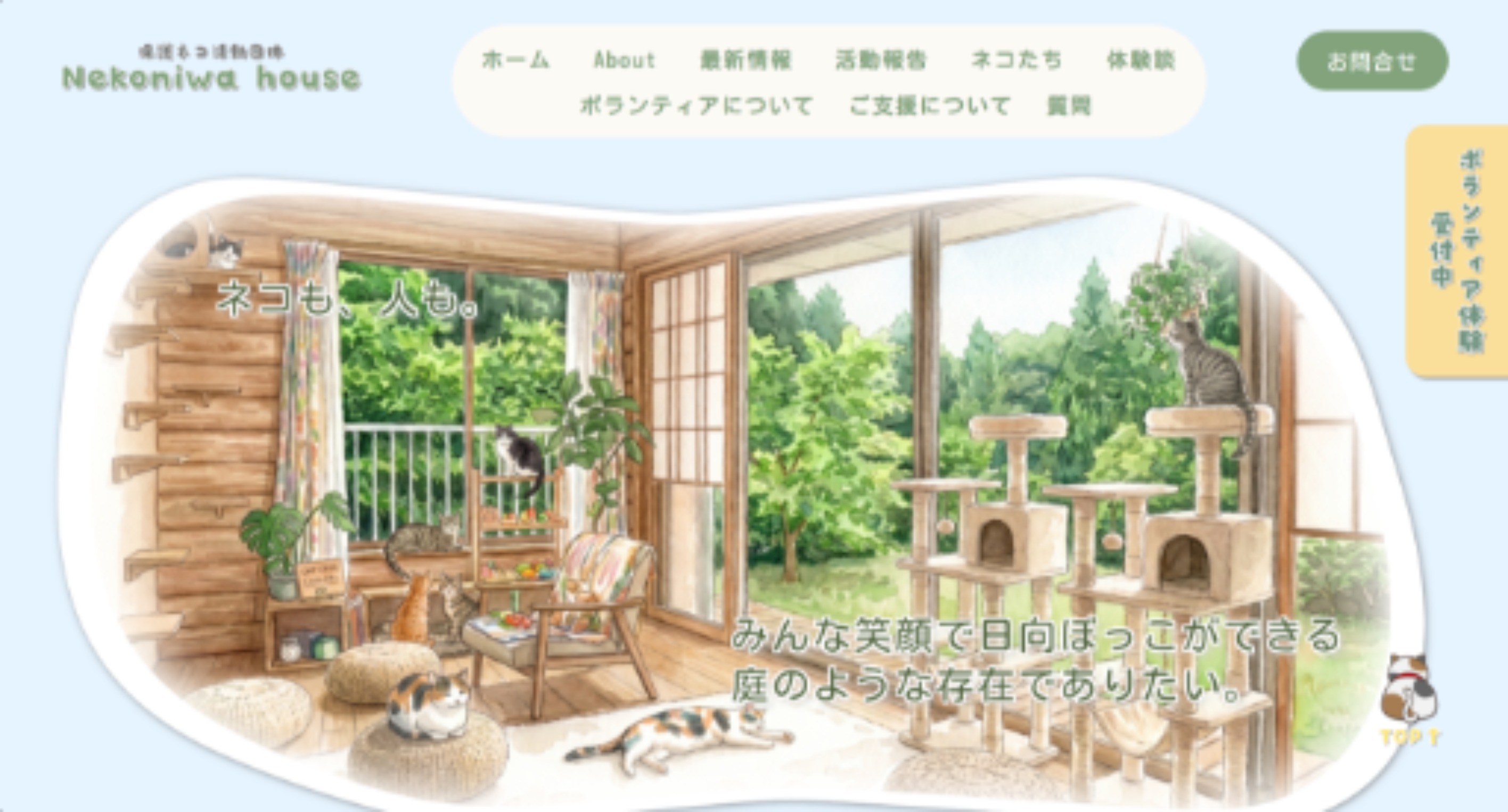 保護ネコ活動団体のHPのサムネイル